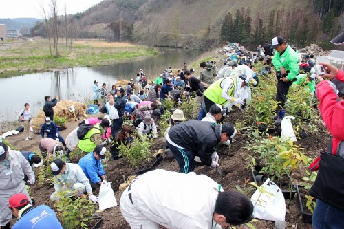 植樹場所は小槌川沿いのマウンド